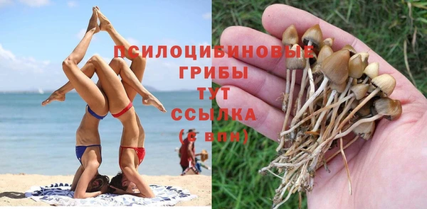 дурь Абаза