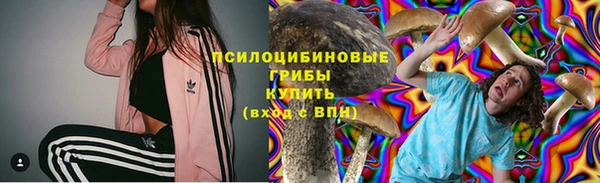 герыч Алексин