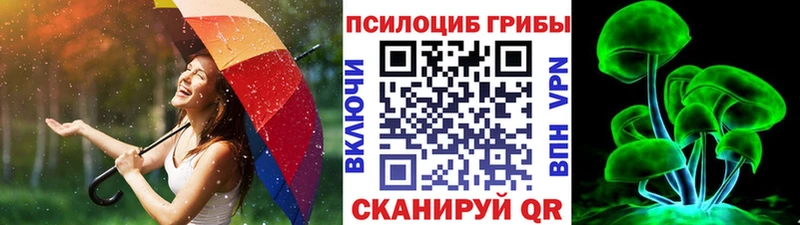 Галлюциногенные грибы GOLDEN TEACHER  Удомля 